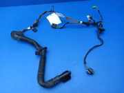 Türverkabelung hinten links MERCEDES-BENZ C (W204) C 200 CDI (204.007, 204.006) A0009820309 A2044401705