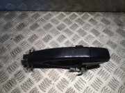 Türaußengriff hinten links LAND ROVER DISCOVERY III (L319) 2.7 TD 4x4 7H2222404BA LR006876