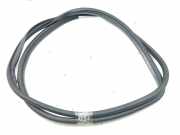 Türgummi links vorne Toyota Prius (W5)