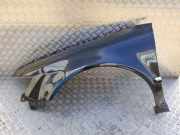 Kotflügel links vorne VW Phaeton (3D)