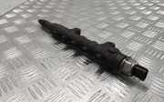 Einspritzleiste Ford Transit V363 Pritsche/Fahrgestell (FED, FFD) 55PP0501