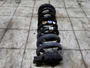 Feder rechts hinten Land Rover Discovery Sport (L550)