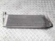 Ladeluftkühler RENAULT MEGANE II Sedan (LM0/1_) 1.9 dCi (LM0G, LM1G, LM2C) 4851001 R4851001