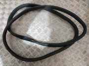 Türgummi rechts vorne BMW X6 (E71, E72) 7234932