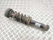 Stoßdämpfer hinten links BMW X3 (F25) xDrive 20 d 101707