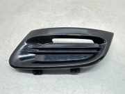Gitter vorne unten RENAULT TWINGO II (CN0_) 1.2 16V (CN04, CN0A, CN0B) 620753323R