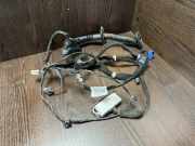 Kabel Tür Renault Master III Kasten (FV) 8200778254