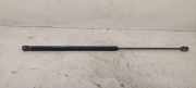 Heckklappe Gasdruckfeder links AUDI A6 Avant (4A, C4) 2.5 TDI 067550450N
