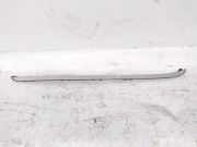 Windlauf BMW X5 (E70)