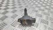 Zündspule NISSAN JUKE (F15) 1.2 DIG-T A2819060000