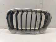 Kühlergrill oben BMW 1er (F21) 72390217262119