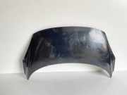 Motorhaube RENAULT GRAND SCÉNIC III (JZ0/1_) 1.4 16V (JZ0F)