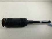 Stoßdämpfer hinten links MERCEDES-BENZ S (W222, V222, X222) S 600 Maybach (222.976) A2223208513