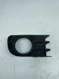 Gitter vorne unten RENAULT MEGANE II Estate (KM0/1_) 1.9 dCi 8200115118