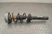 Stoßdämpfer vorne links AUDI A5 (F53) 2.0 TFSI 8W0413031BA