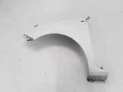 Kotflügel vorne links RENAULT CLIO III (BR0/1, CR0/1) 1.5 dCi (C/BR0G, C/BR1G) 8200256117