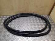 Türdichtungsgummi vorne links