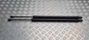 Heckklappe Gasdruckfeder links VW TRANSPORTER V (T5) Flatbed 1.9 TDI 7H0827550