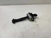 Türanschlag hinten links BMW X4 (F26) xDrive 30 d