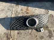 Gitter Grill vorne rechts MERCEDES-BENZ B (W246, W242) B 220 4-matic (246.247) A2468851322