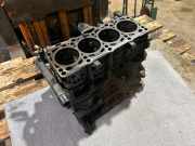 Motorblock VW CADDY III Furgon (2KA, 2KH, 2CA, 2CH) 1.9 TDI 4motion