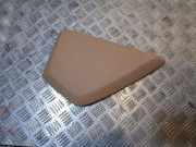 Armaturenbrett Seitenverkleidung