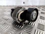 Riemenspanner NISSAN JUKE (F15) 1.5 dCi 117503662R