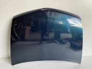 Motorhaube RENAULT VEL SATIS (BJ0_) 2.0 16V Turbo (BJ0K)