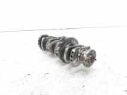 Kurbelwelle LAND ROVER RANGE ROVER EVOQUE (L538) 2.2 D 4x4 233