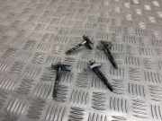 Dichtung für Düsenhalter Renault Grand Scenic III (JZ)