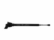 Türfeststeller Porsche Panamera 1 (970) 97053615200