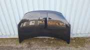 Motorhaube FIAT 500X (334_) 1.6 D Multijet