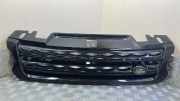 Vorderer oberer Gitter LAND ROVER RANGE ROVER SPORT II (L494) 3.0 D Hybrid 4x4 DK628200XX
