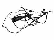 Türverkabelung hinten rechts BMW 5 (F10) 535 d xDrive 9240898