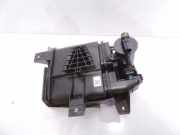 Aktivkohlefilter für Tankentlüftung Hyundai Kona I (OS, OSE, OSI) 31425J9000