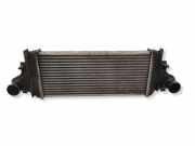 Ladeluftkühler MERCEDES-BENZ M (W164) ML 320 CDI 4-matic (164.122) 2515000000