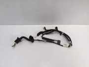 Türverkabelung hinten rechts