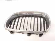 Vorderer oberer Gitter