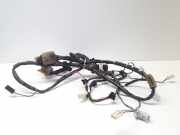 Kabelbaum Mazda Premacy (CP) C10067060D