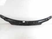 Zierleiste Windschutzscheibe Frontscheibe BMW 2 Active Tourer (F45) 218 d 7305485