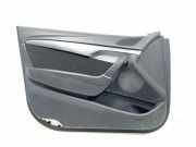 Türverkleidung vorne links