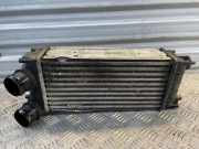 Ladeluftkühler Citroen DS5 () 9684212480