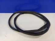 Türdichtungsgummi hinten rechts VOLVO V60 T5 31335808 31218934