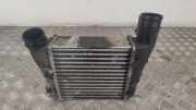 Ladeluftkühler AUDI A4 Avant (8ED, B7) 2.0 TFSI 3229440