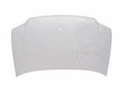 Motorhaube VW CADDY III Furgon (2KA, 2KH, 2CA, 2CH) 1.9 TDI