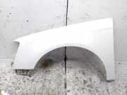 Kotflügel vorne links VW PASSAT B6 (3C2) 1.9 TDI 3C0880681