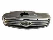 Vorderer oberer Gitter KIA RIO III Sedan (UB) 1.4 CVVT 863611G071