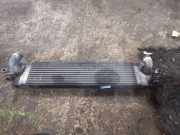 Ladeluftkühler NISSAN X-TRAIL (T31) 2.0 dCi 14461JG70B