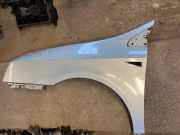 Kotflügel vorne links RENAULT VEL SATIS (BJ0_) 3.0 dCi (BJ0S) 8200018521