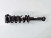 Stoßdämpfer hinten links